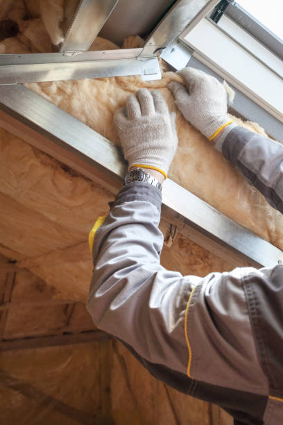 Best Geographic-Specific Insulation Services in Memphis, MO