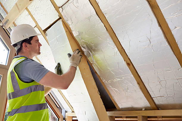 Best Specialized Insulation Services in Memphis, MO